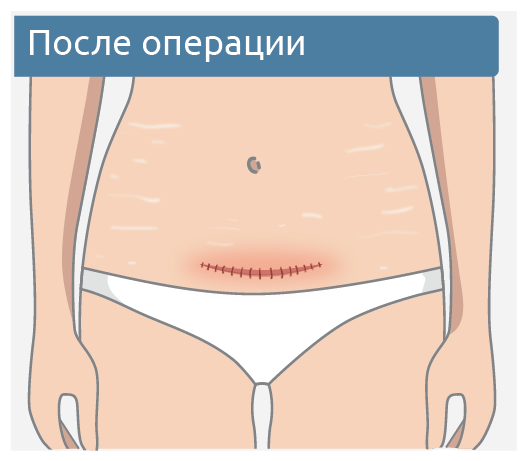 Ресурс 8.png Ресурс 8.png